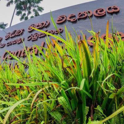 චායරුප