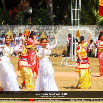නිවාසාන්තර ක්‍රීඩා උළෙල